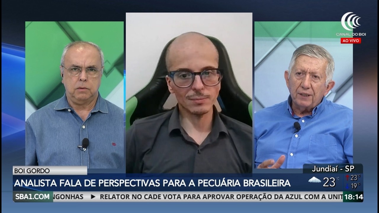 Movimento de alta ganha for&ccedil;a no mercado do boi gordo