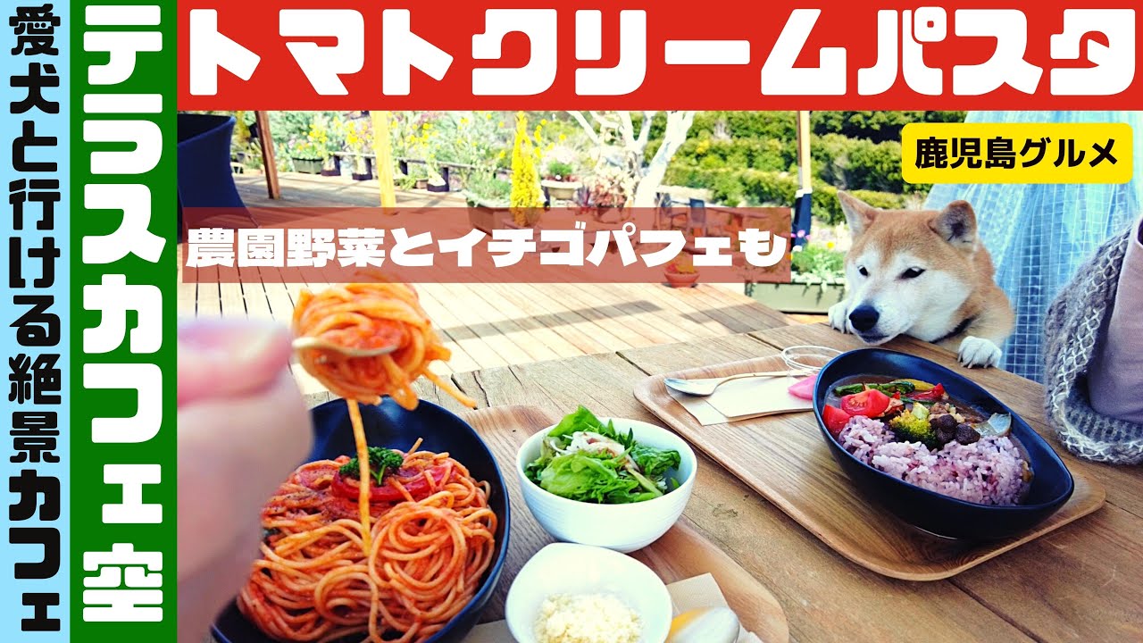 36.絶景テラスカフェ空のトマトクリームパスタ「愛犬といちご狩り」【鹿児島グルメch カゴメシ】