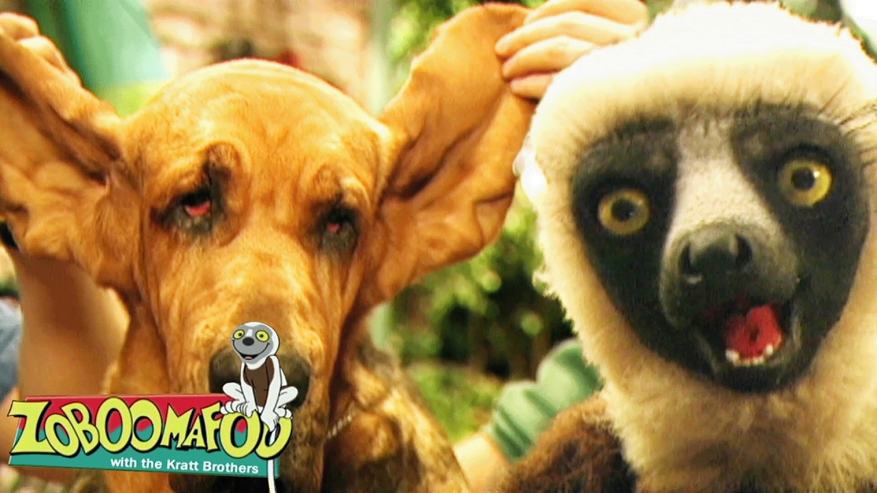 Les Oreilles Entendent | Zoboomafoo Française - WildBrain | Apprenez-en plus sur les Animaux!