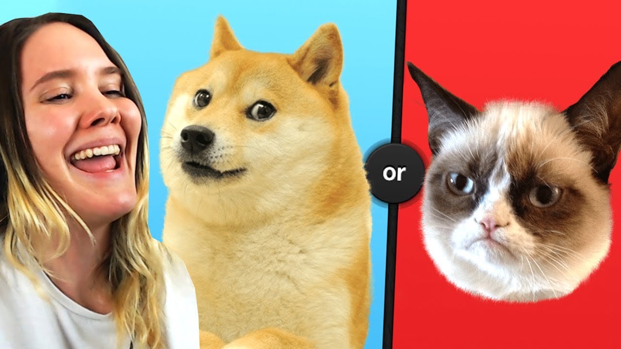 Kumpi parempi: KISSAT vs KOIRAT (Would You Rather)