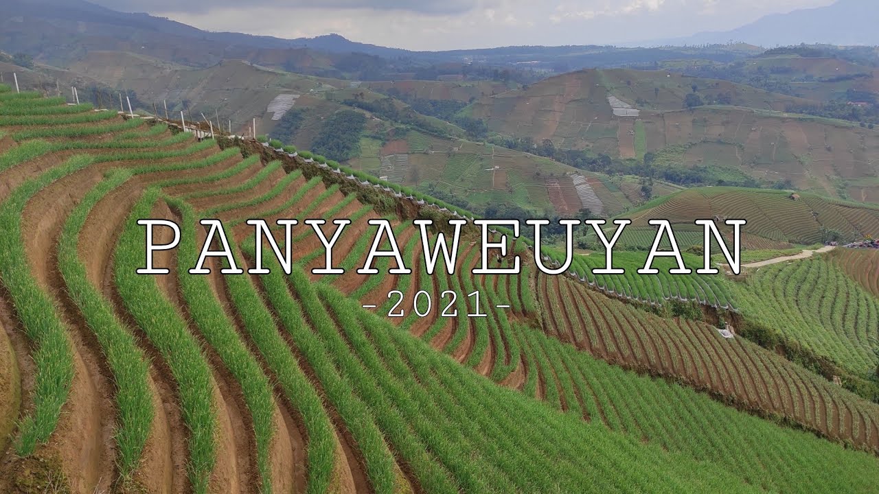 Jalan tikus ke wisata Terasering Panyaweuyan dari arah kuningan #panyaweuyan