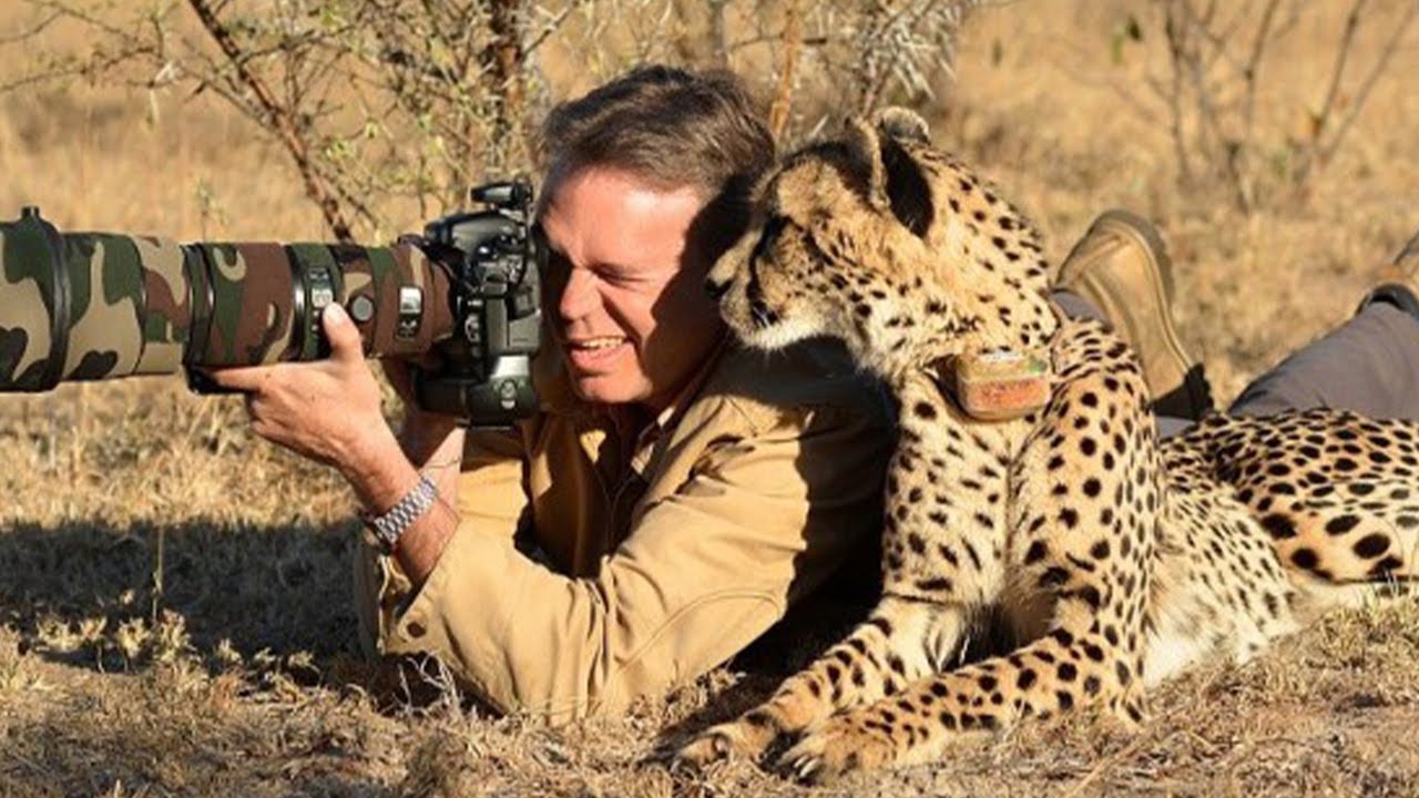 When Animals Caught Getting Friendly with Photographers 🤪 Funny Wildlife Videos 2025