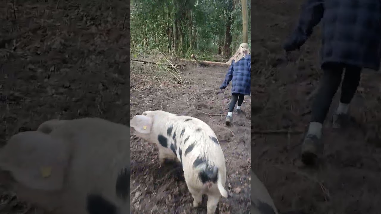 Kids tour of the GOS x OSB Part 2