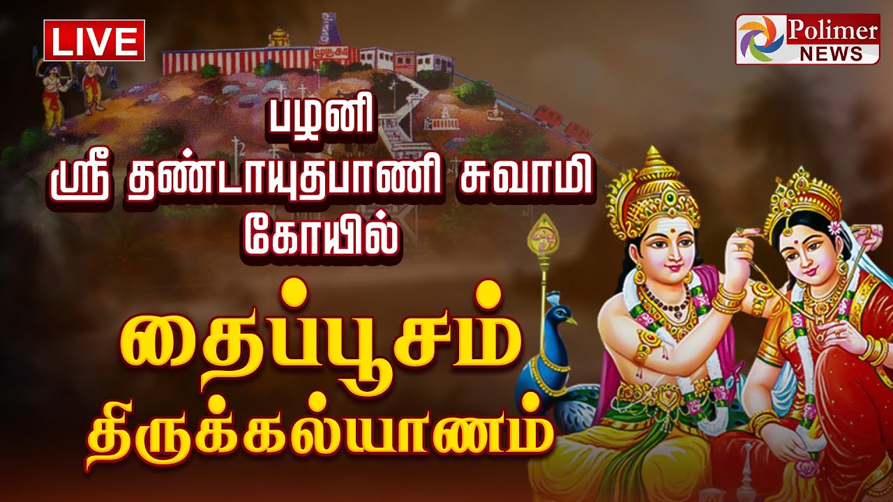 🔴LIVE: பழனி ஸ்ரீ தண்டாயுதபாணி சுவாமி கோயில் - தைப்பூச திருக்கல்யாணம்..!! Thaipoosam Thirukalyanam