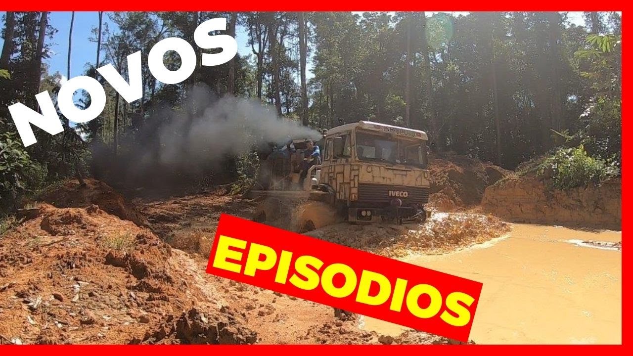 Brucutu de volta ao seu Habitat Natural
