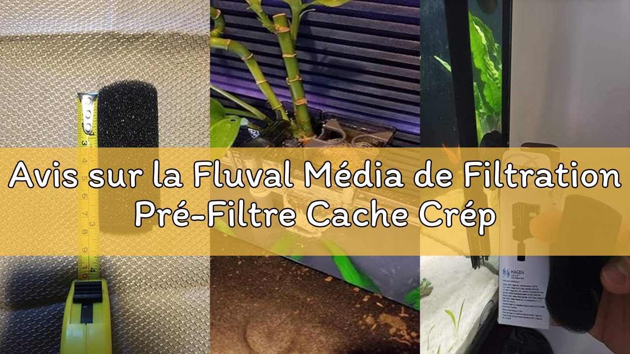Avis sur la Fluval Média de Filtration Pré-Filtre Cache Crépine Gamme Edge