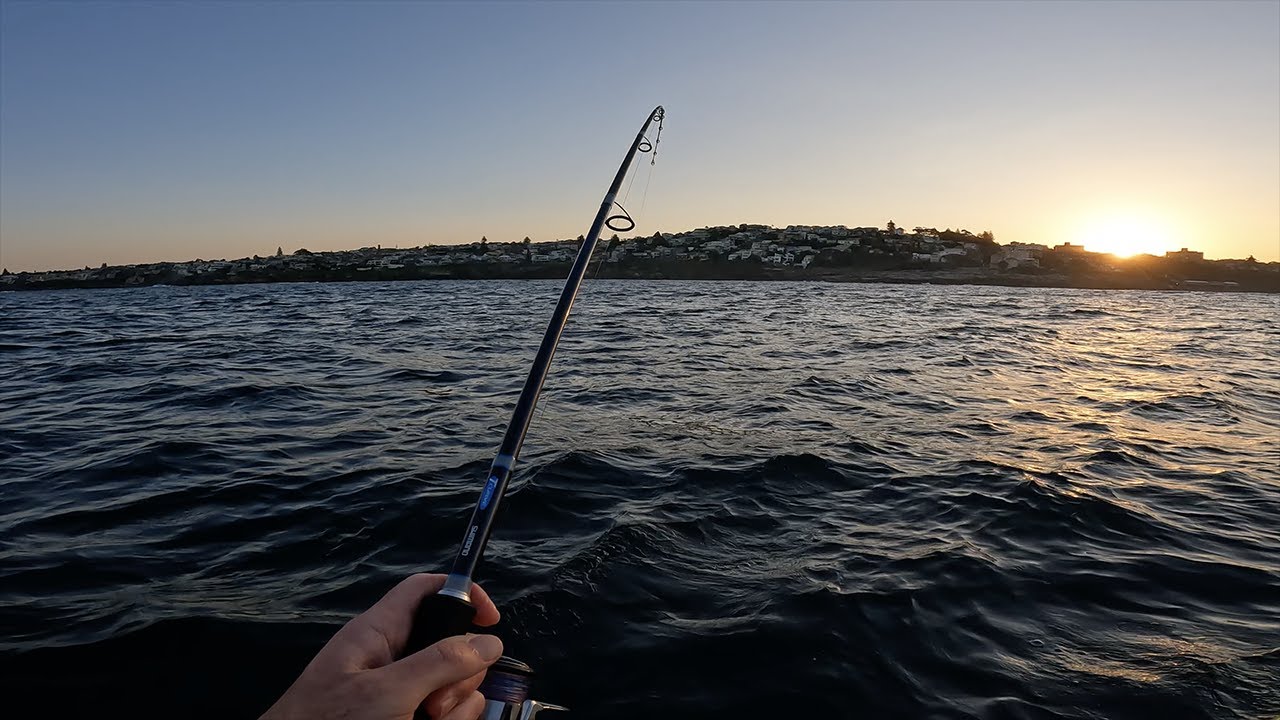 My best snapper in the kayak off Sydney - Catch and cook - Bugsy Fishing Ep 42  4K
