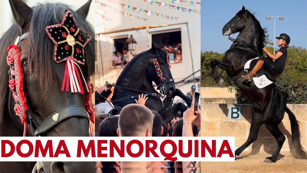 Conoce la doma menorquina🐴, el bot y el jaleo  🎠