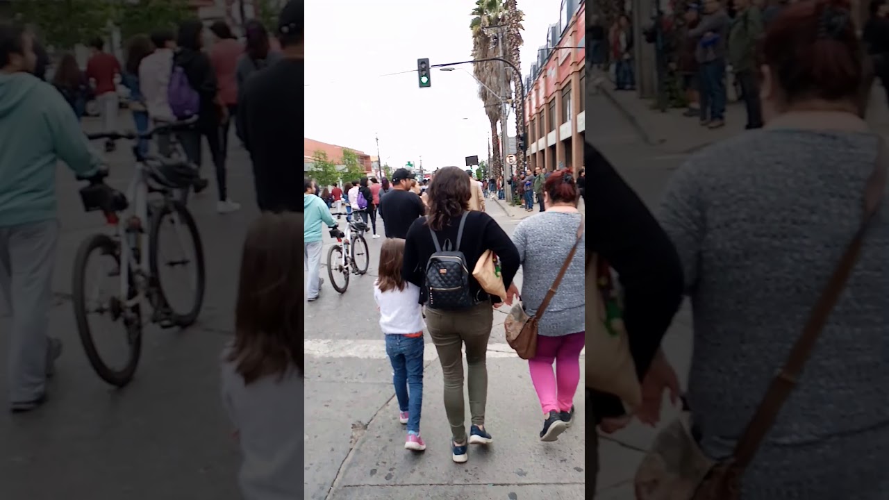 Manifestaci&oacute;n Chile 19 de octubre curico