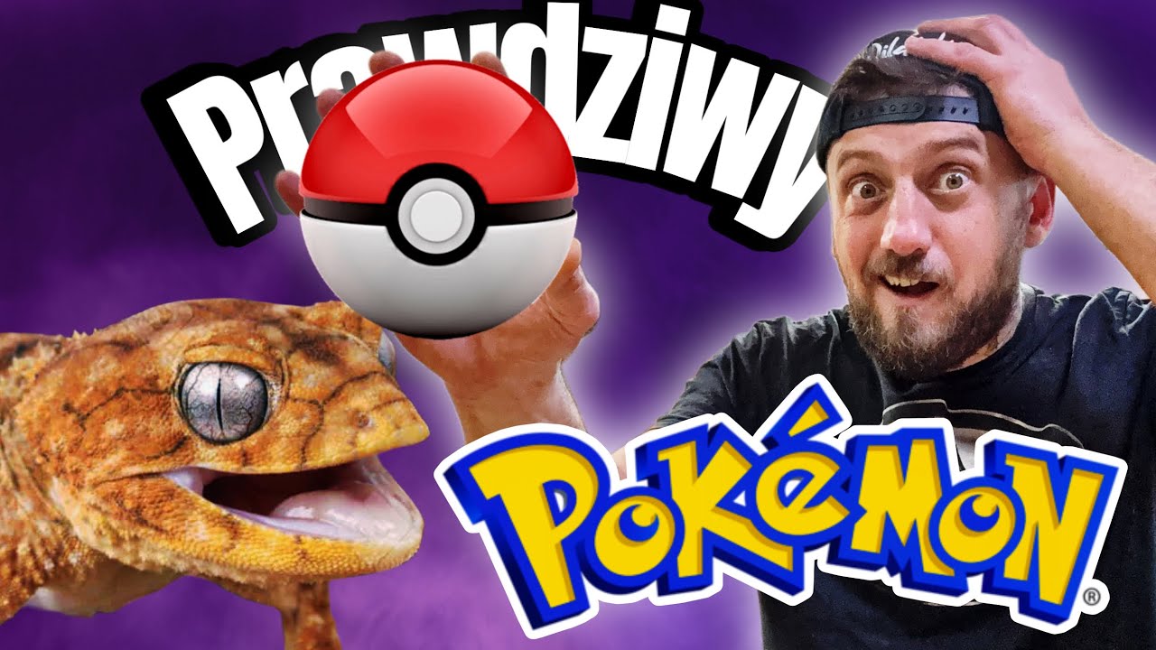 POKEMONY ISTNIEJĄ‼️ Nephrurus amyae