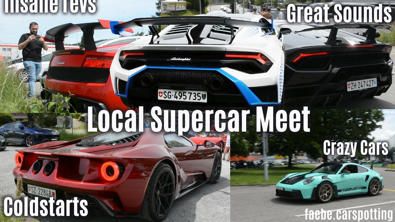 CHAOS at Local Car Meet! Insane Revs, Cold Starts, and Great Sounds! | faebe.carspotting