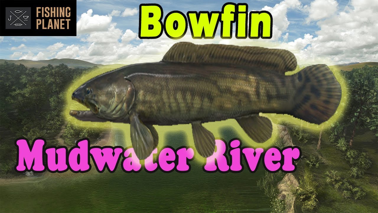 Bowfin - Mudwater River - Fishing Planet - Beginner's Guide - How to Catch