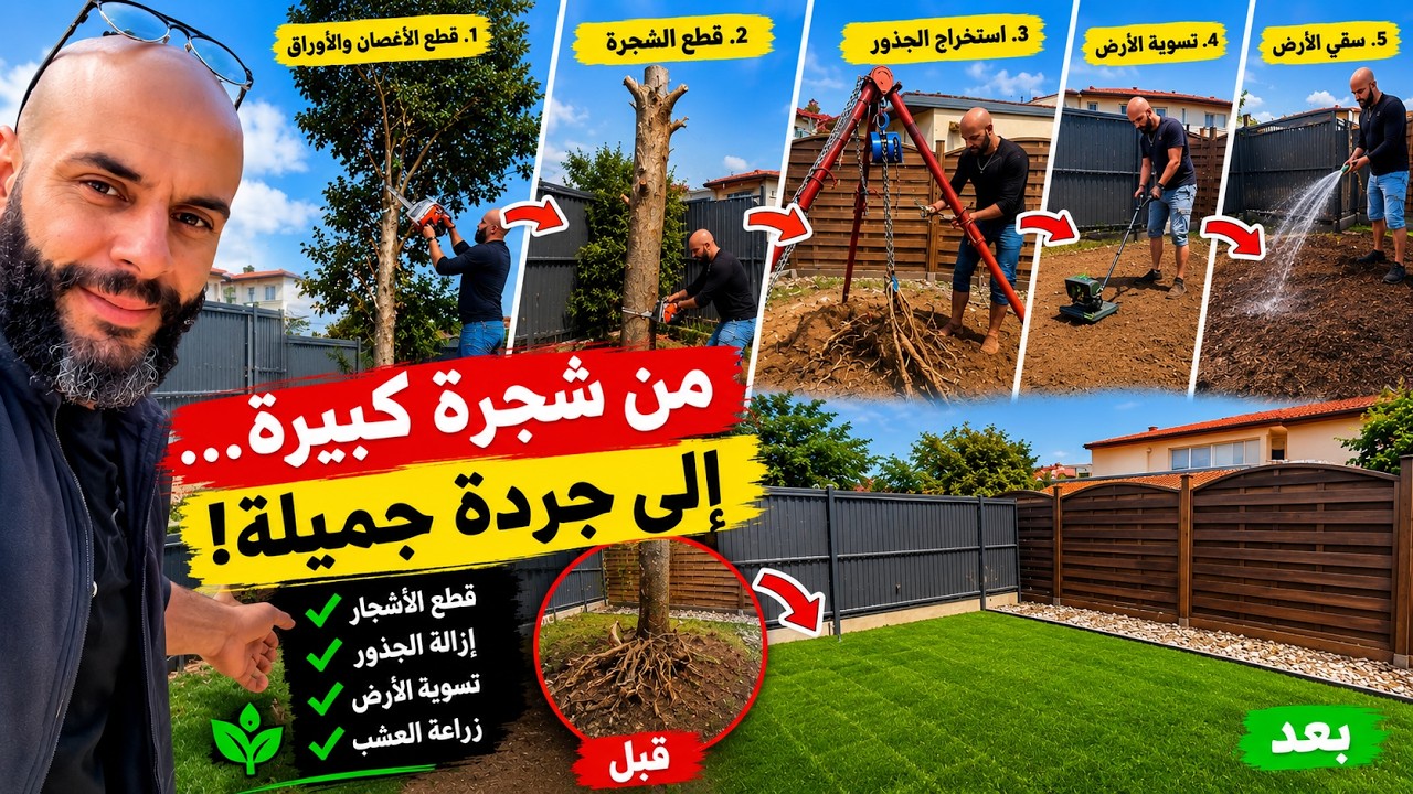 الجار تشكّى على جارو بسبب الشجرة… شوف شنو وقع 🌳