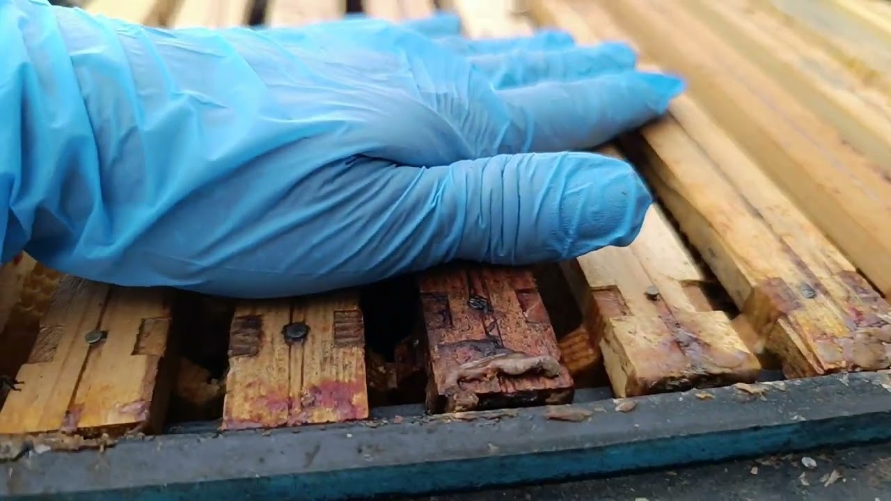 Spos&oacute;b na osuszanie ramek cz 1