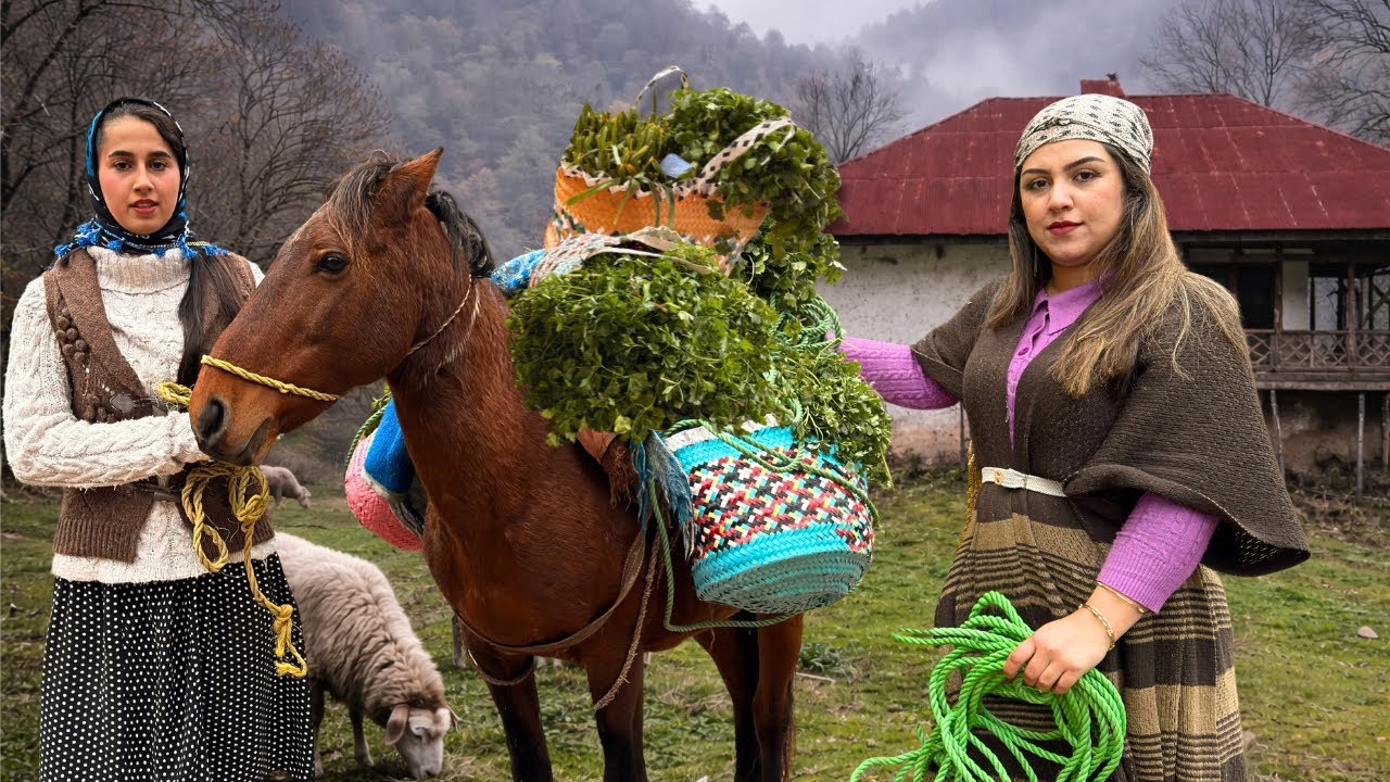IRAN Village Life: Harvesting 50kg of Fresh Herbs for Ghormeh Sabzi ,Old Techniques & Real Flavor