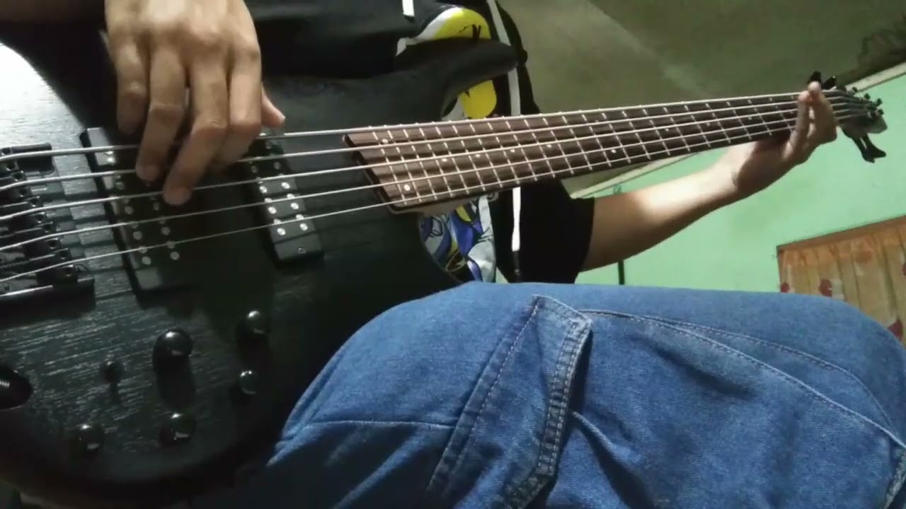 Watch over you  - Alter Bridge bass covered by Lwin Min Kyu