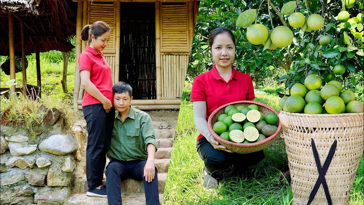 Harvesting Green Orange Garden in Village Goes To Market Sell,Good news for my husband | Happy days