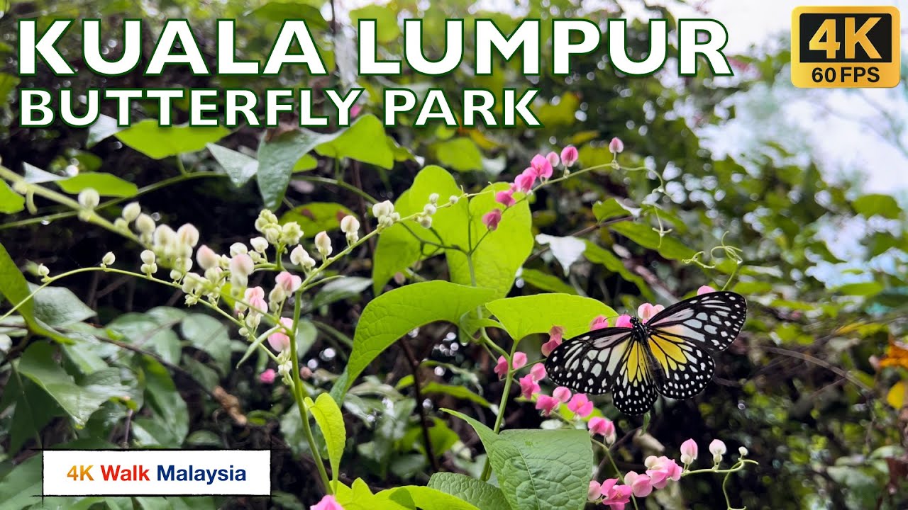 Malaysia 🇲🇾 Kuala Lumpur Butterfly Park 🌺🦋🐛🌿🐟🐢 - November 2023 - 4K 60fps HDR Walking Tour