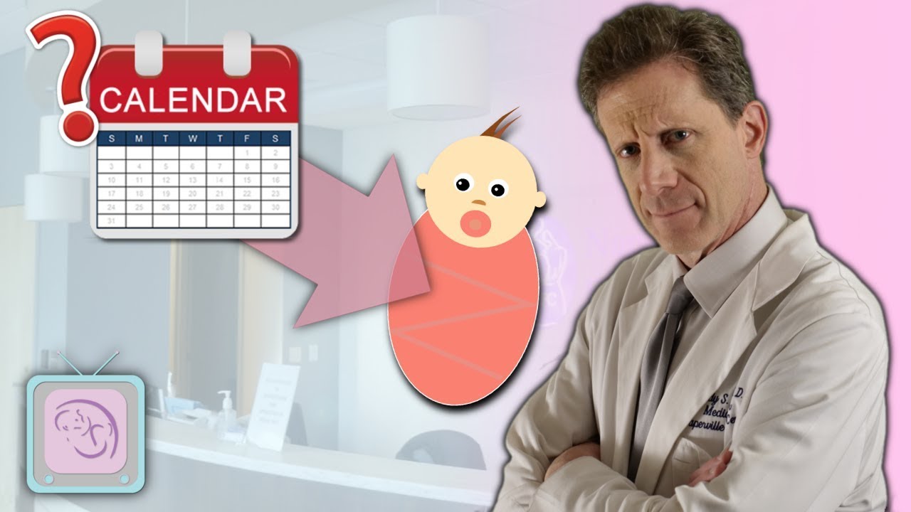 IVF Procedure - How Long Does It Take? | InfertilityTV
