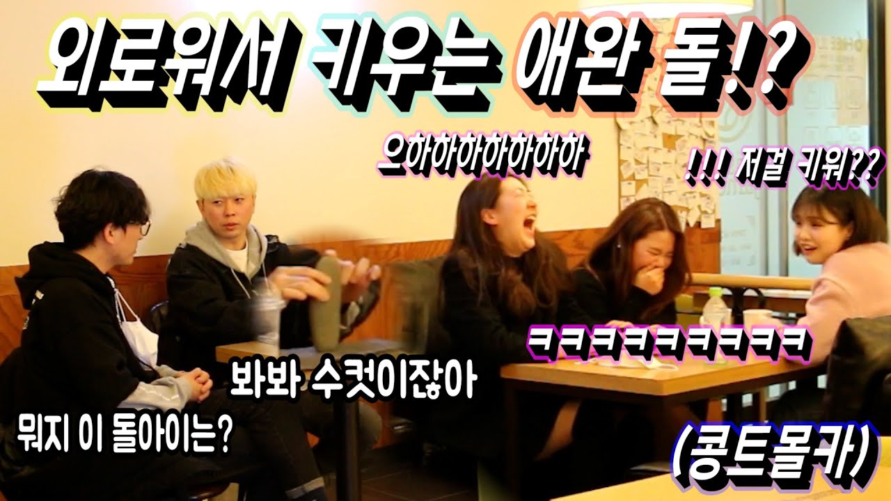 [몰카] 중성화를 안한 애완돌때문에 웃음많은 여대생들은 호흡곤란이 찾아왔다!!ㅋㅋㅋ 아직도 구독 안하고 보는사람들이 많다! 구독에 돈 안든다 뚜드려 구독박아라!!!