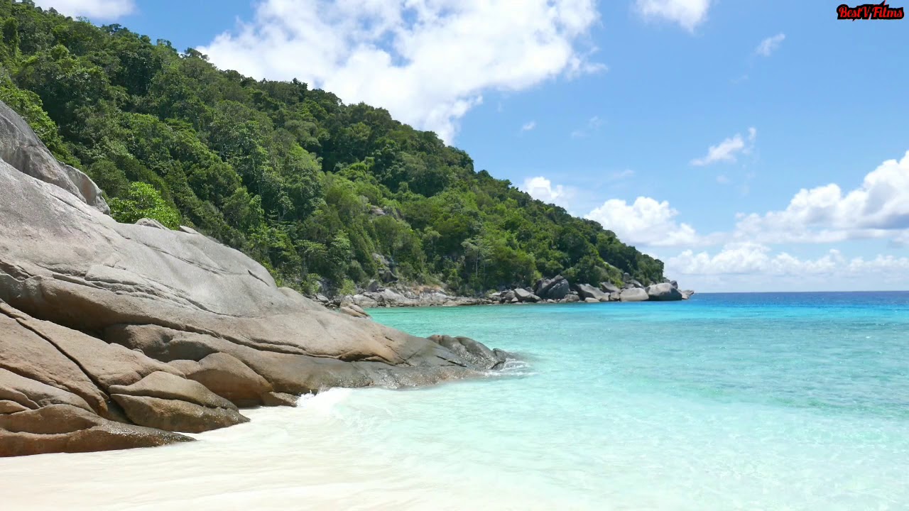 Caribbean Lounge Film (trailer) 3&frac12; hours of natural oasis for home and office!