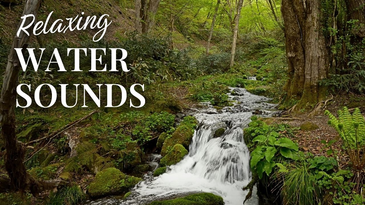 10 Hours of Relaxing Forest Stream Water Sounds