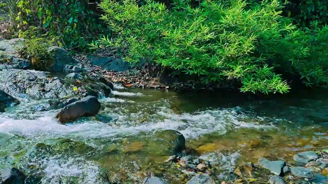 Beatiful Of River Waterfall For Calm, Meditation, Stress Relief, Deep Sleep #35