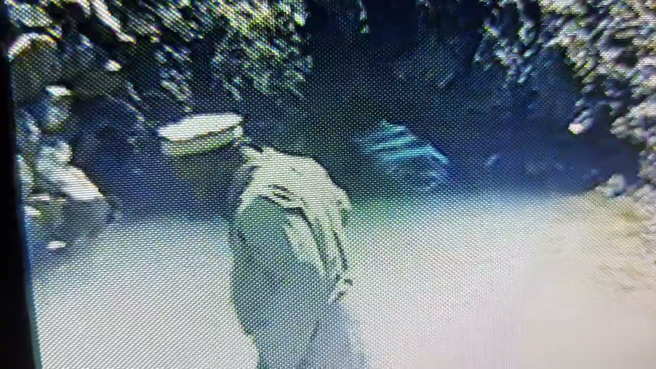 خانوزئی2002 کا یادگاری وڈیو اج کل وہ لوگ اس دنیا میں نہیں ہے اس کو اللہ پاک جنت فردوس میں الا مقام ع