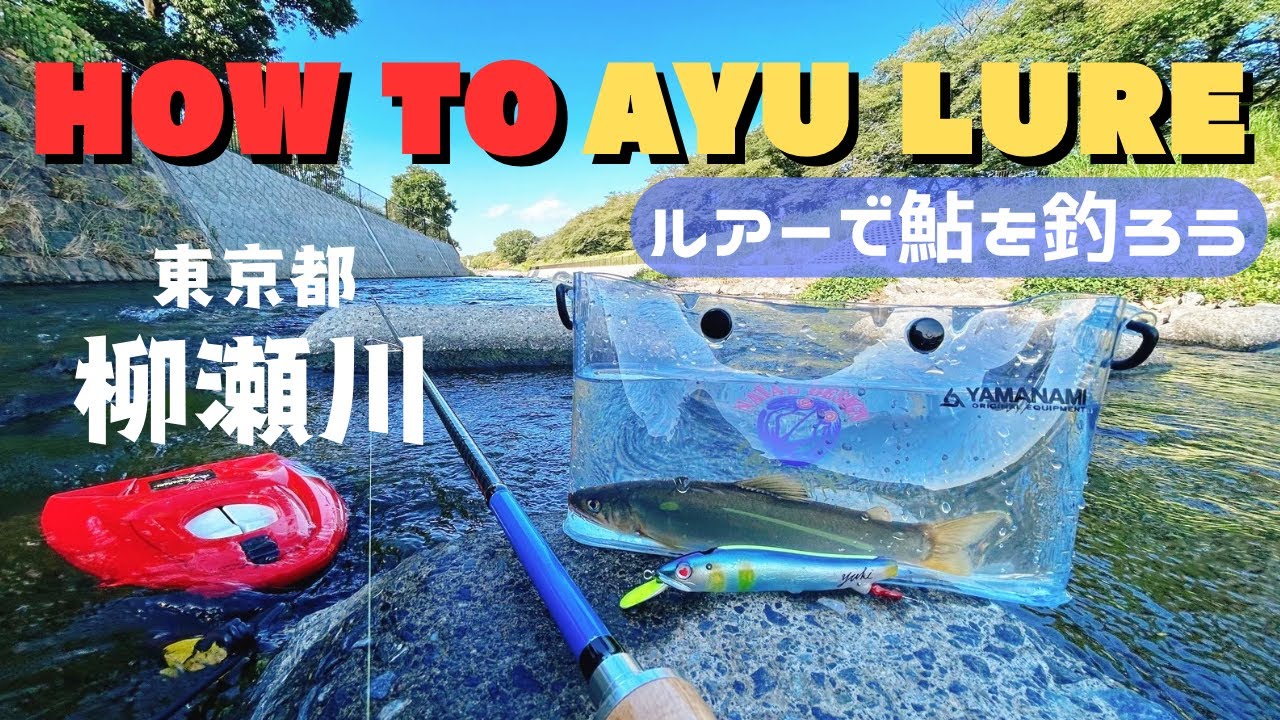 🔰アユルアーの基本！‼️柳瀬川でHow To Ayu Lure