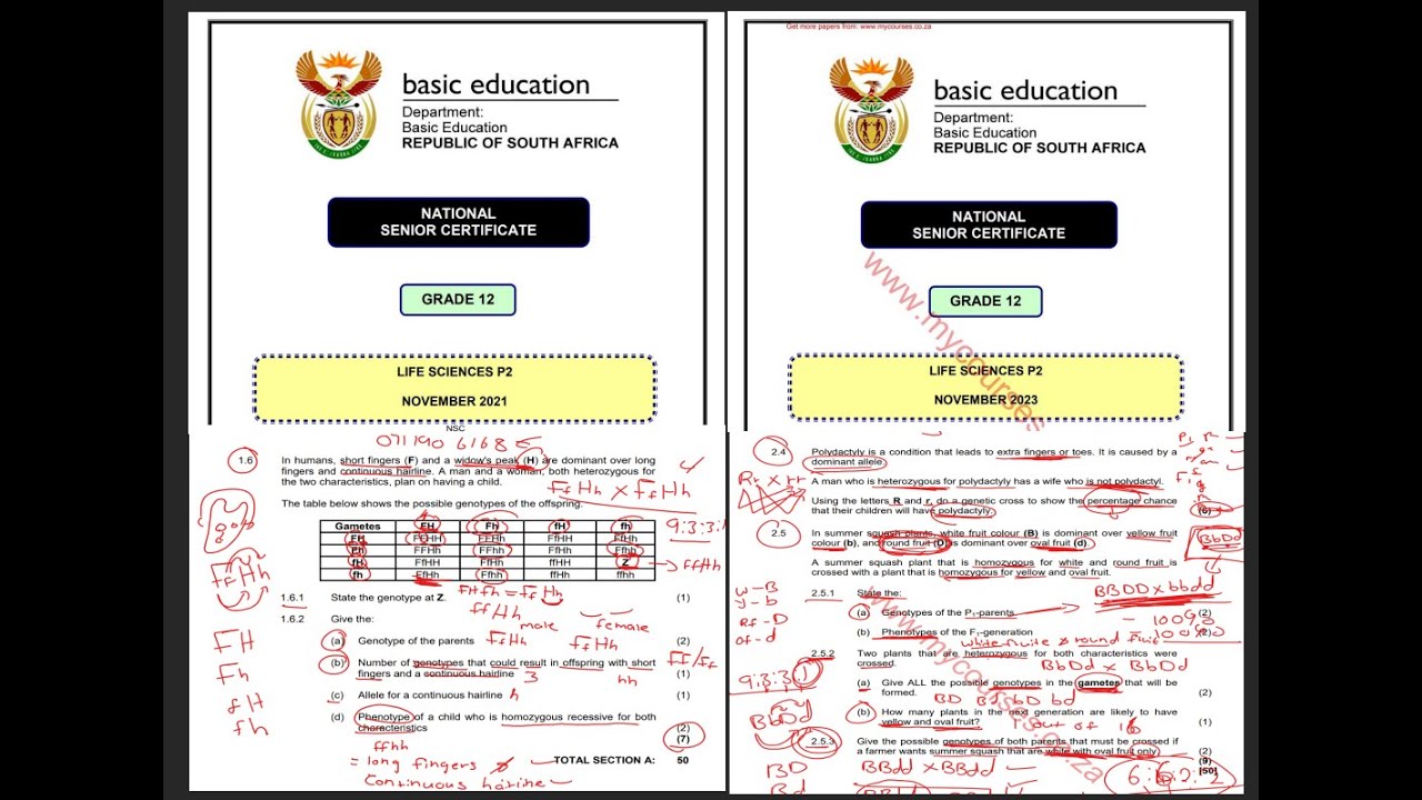 Dihybrid Crosses Past Question papers | Genetics and Inheritances | Full Class| 29/03/2024 #grade12