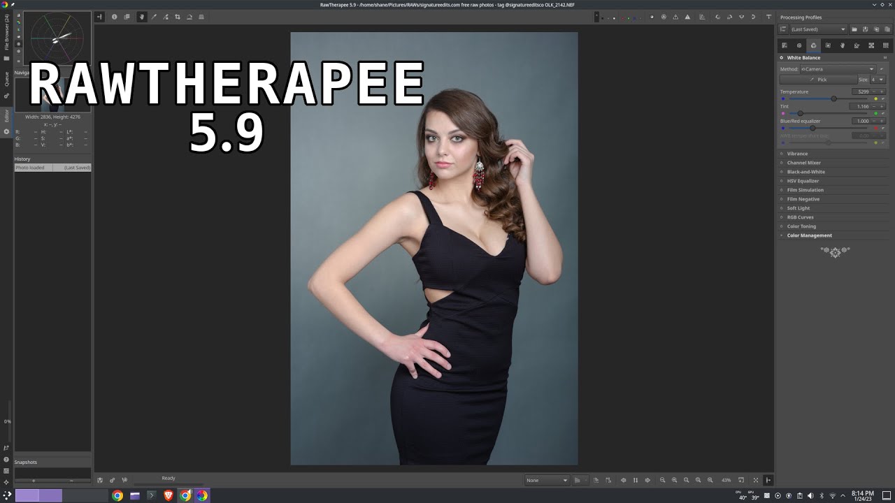 Rawtherapee | A look at the new 5.9 release