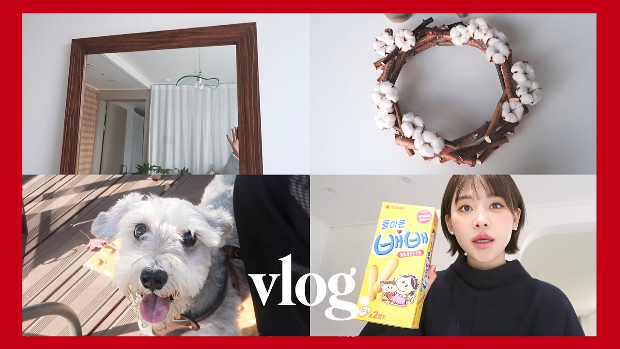 한글자막💗가구 칠하기 ・ 목화리스 만들기 ・ 강아지 생일파티 ・ 송년회까지 알찬 연말 vlog🍷