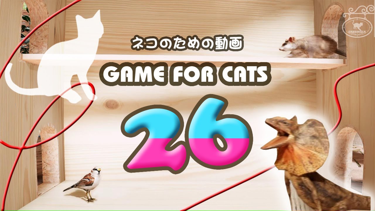 【猫用動画MIX26】ねずみ・トカゲ・鳥・ひも ４時間 GAME FOR CATS 26