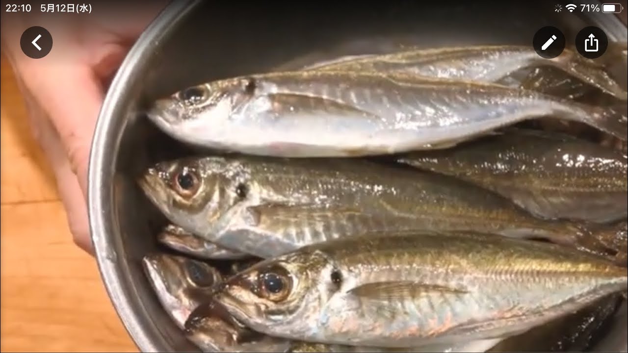 《小鯵の酢締め》・・・・大和の　和の料理《酢締め（リハビリ編)》
