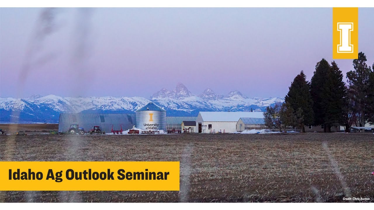 Financial Condition of Agriculture of Idaho 2021 Review and 2022 Outlook