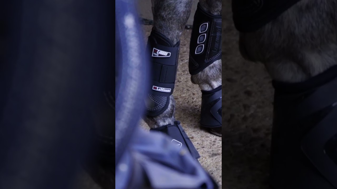 Lemieux boot video