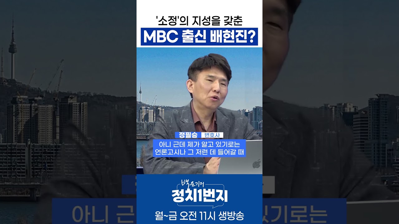 '소정'의 지성을 갖춘 MBC 출신 배현진?