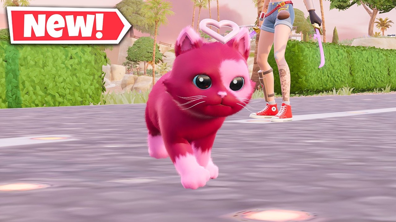 NEW CUPID KITTY Sidekick Gameplay In Fortnite!