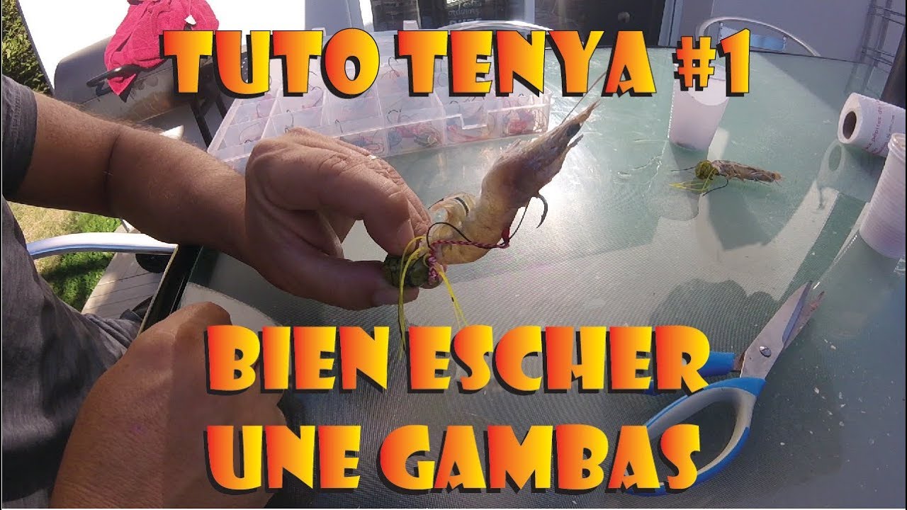 Tuto Tenya #1 - Bien escher une Gambas