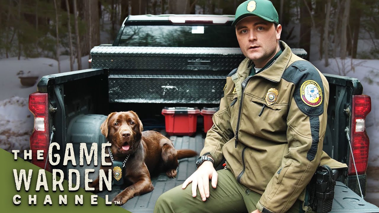 K9 Aspen Tracks Down Clues After Shots Fired | The Game Warden Channel