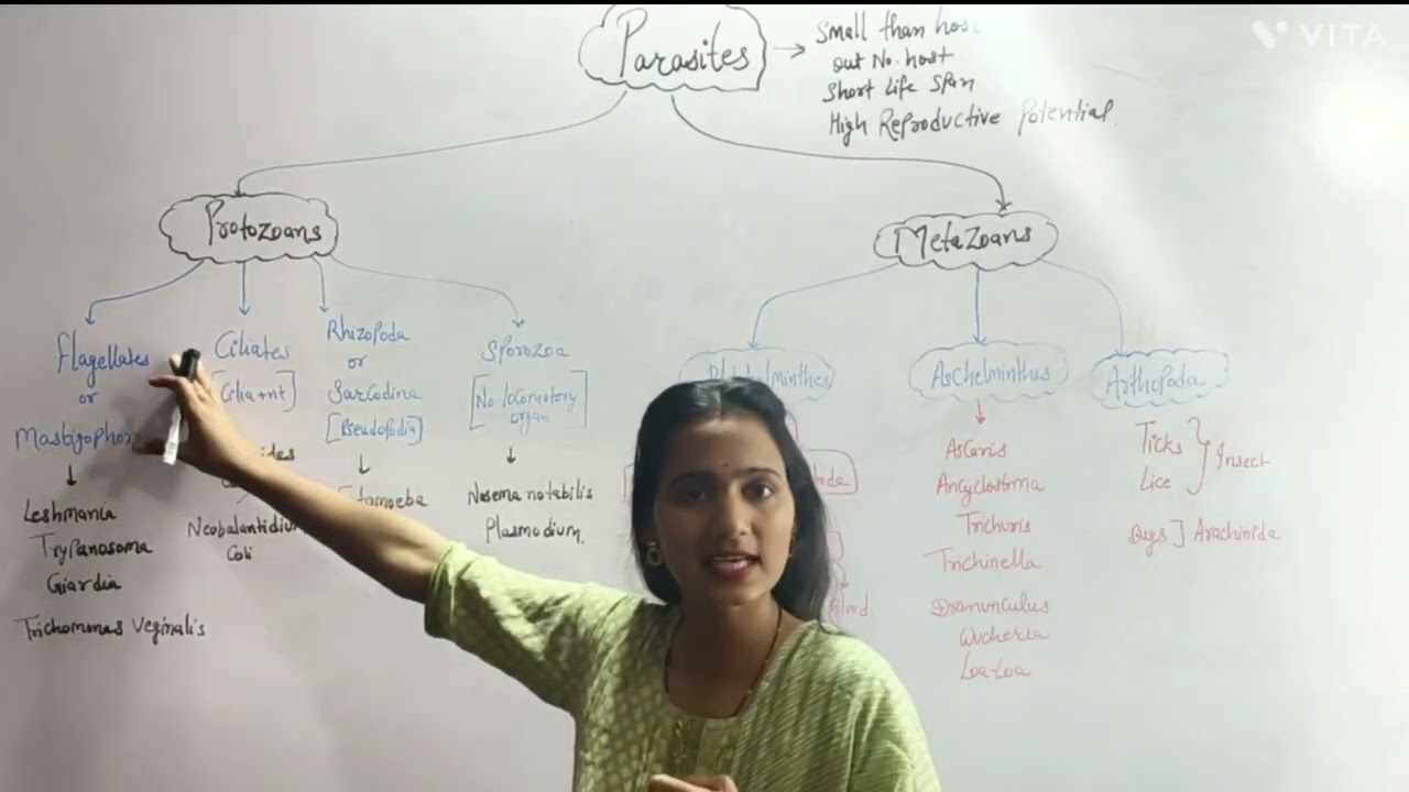 Parasites/zoology/m.sc/b.sc/competitive exam science/RPSC biology 