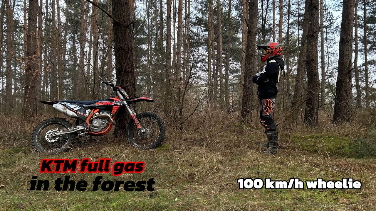 KTM SXF 250 - TEST RIDE IN THE FOREST
