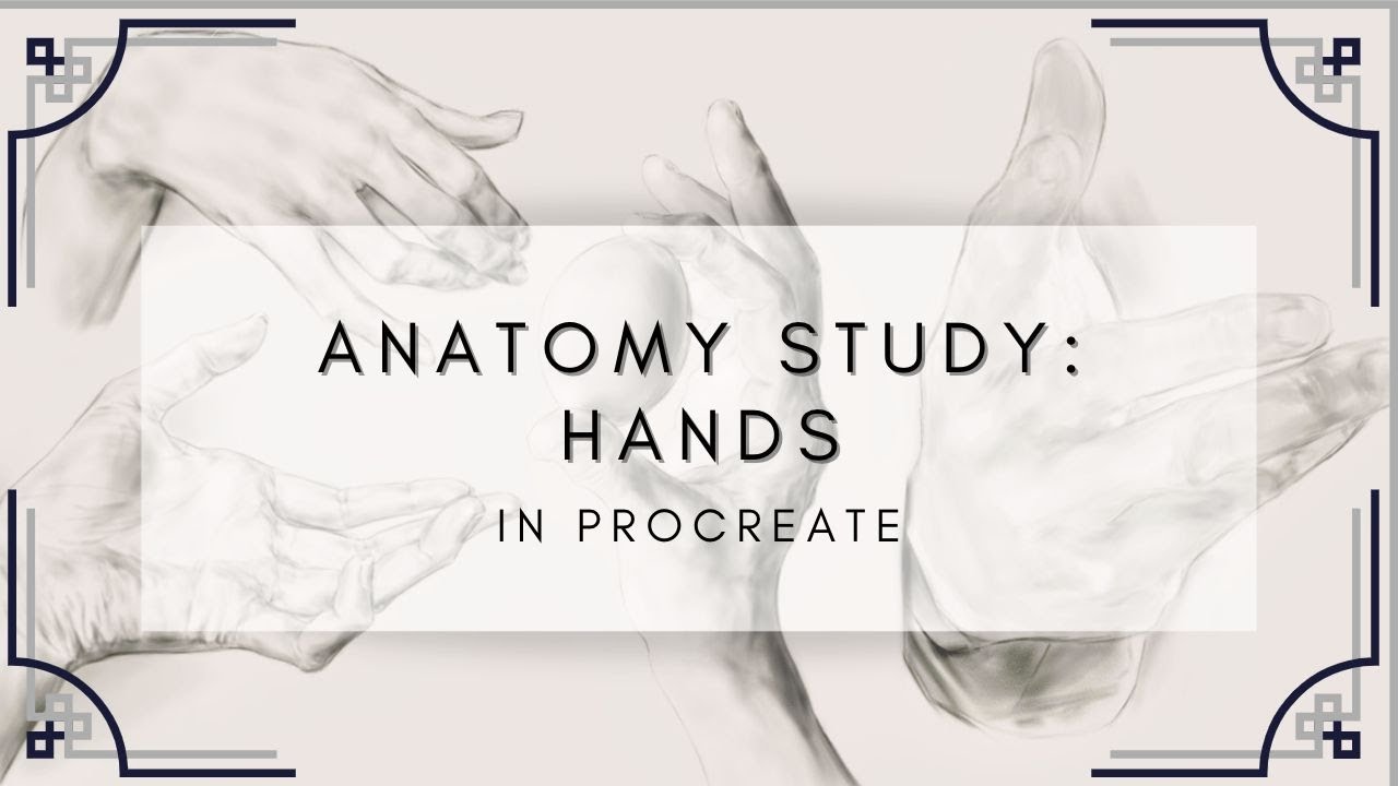 Study With Me: Hand Anatomy Drawing in Clip Studio Paint (timelapse)