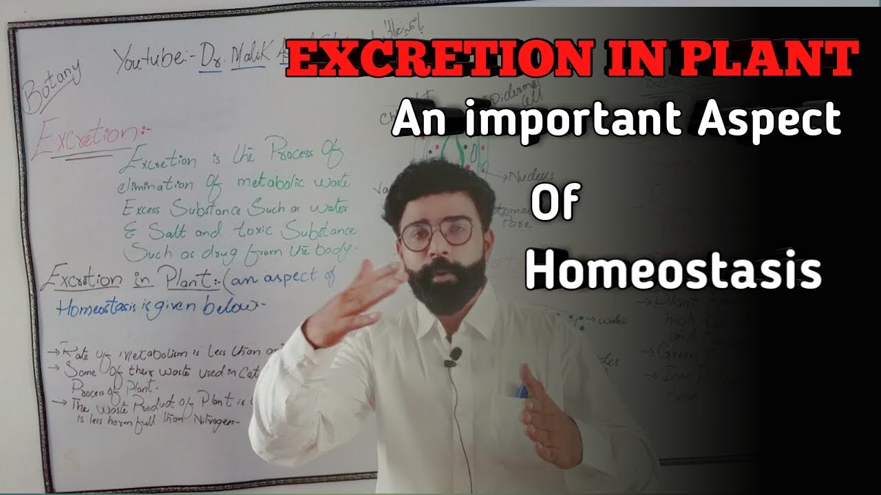 EXCRETION IN PLANT || Chapter-01 || Homeostasis || Chapter-01|| XII-Botany || Urdu/Hindi