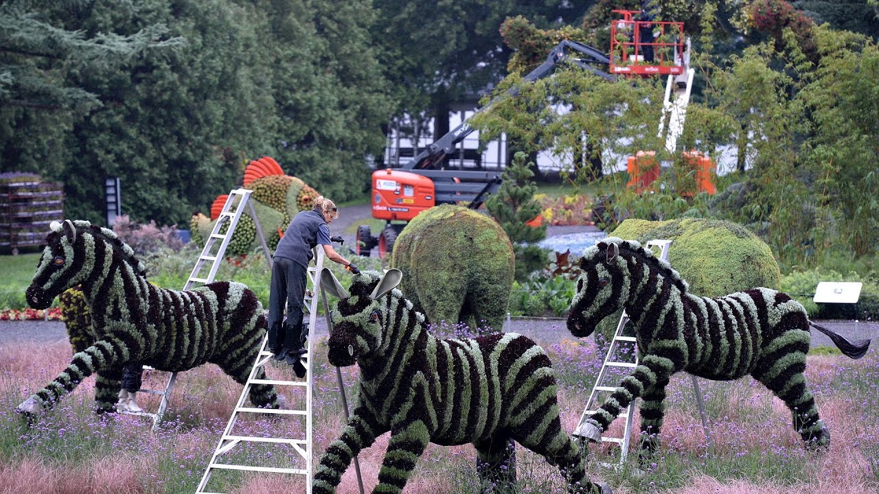 Dans les coulisses des Mosaïcultures