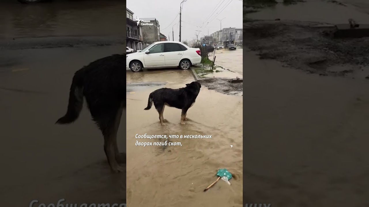 Streams of water carried people away | #shorts