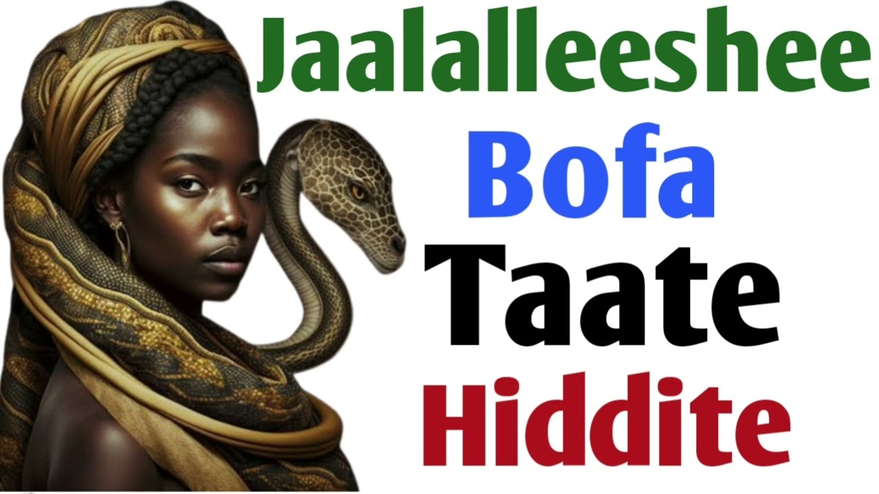 Jaalalleeshee Bofa Taatee Hidditeen