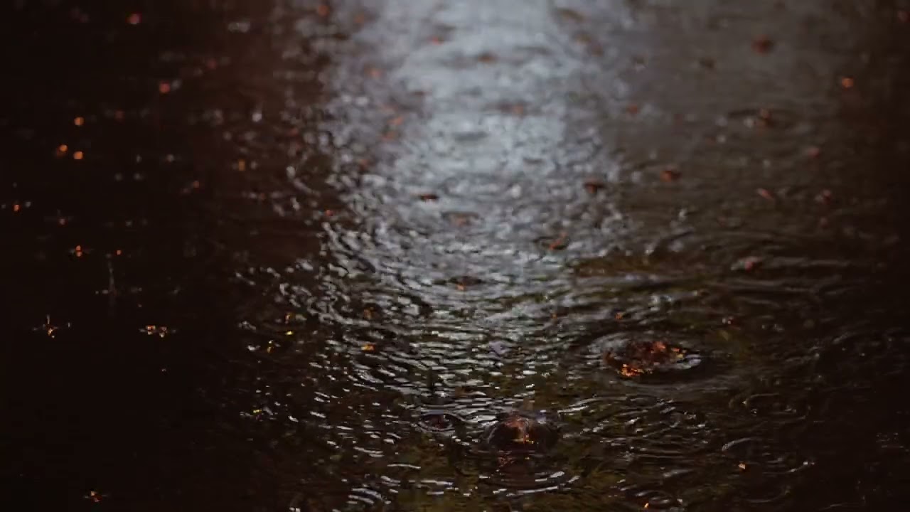 Ambient_Classical_Raindrops_Relaxation_MusicBear