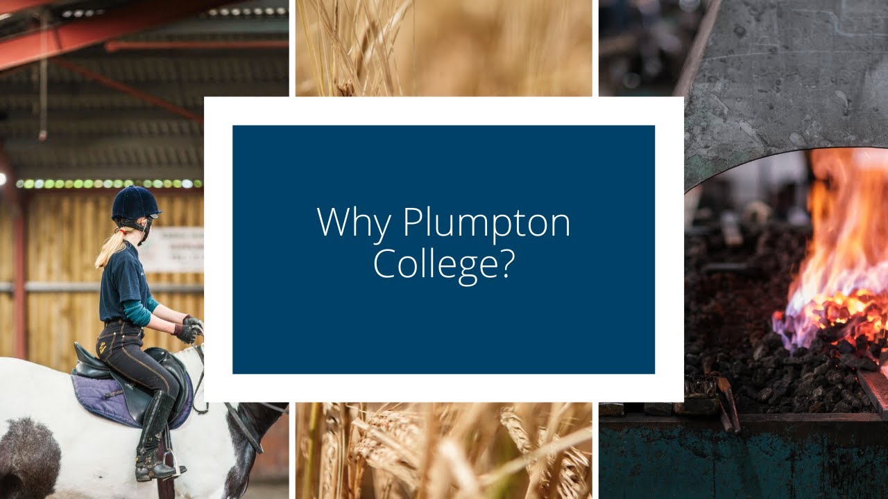 Why Plumpton College Part 2?