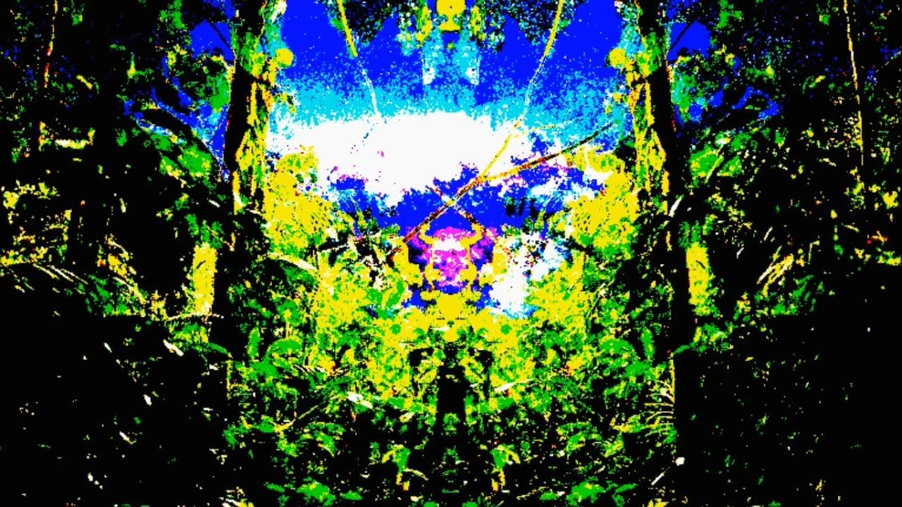 From Jungle to Space (Tribal Goa Psytrance Trip)